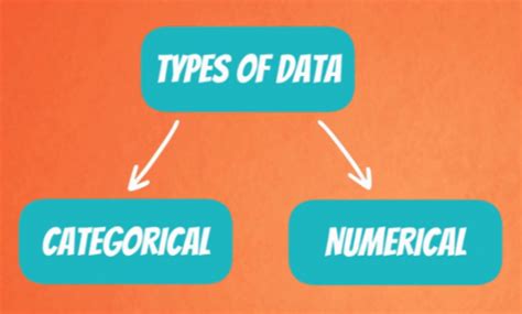 Categorical vs. Numerical Data Flashcards | Quizlet - wintechmobiles.com