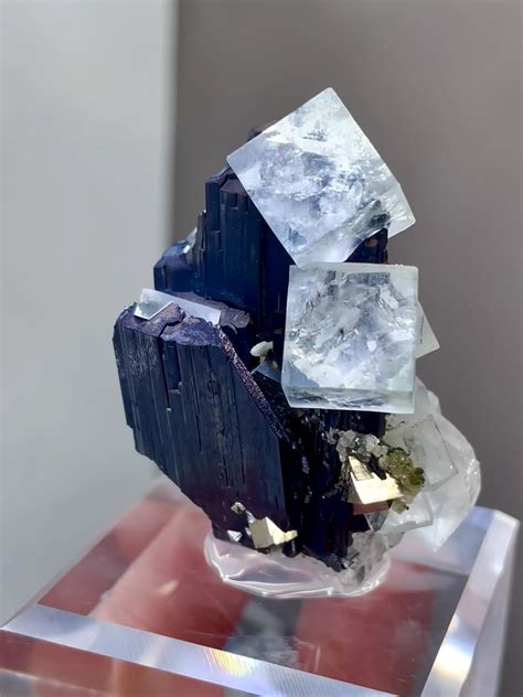 Category:Indianized kingdoms | Military Wiki | Fandom - wintechmobiles.com