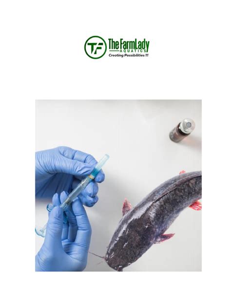 Catfish Hatchery Guide: Water Treatment Basics - muktibox.com