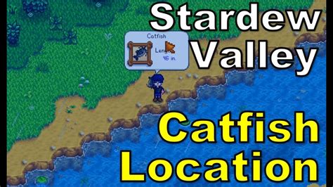 Catfish Stardew Valley Guide - SDew HQ - muktibox.com