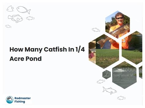 Catfish Stocking for 1/4 Acre Ponds - Scribd - muktibox.com