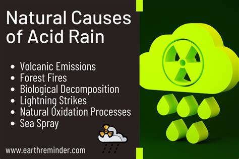 Cause Of Acid Rain - wintechmobiles.com