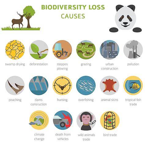 Causes and Consequences of Biodiversity Declines - Nature - raincitystudios.com