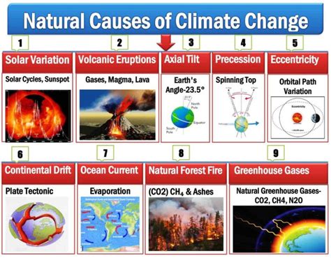 Causes of climate change - Climate Action - European … - muktibox.com