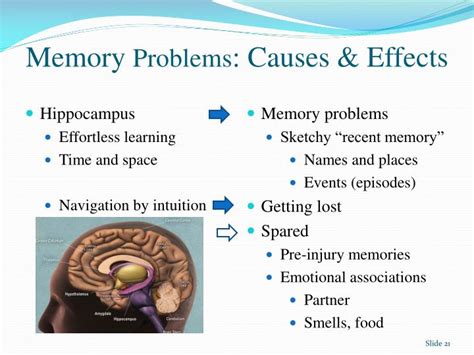 Causes of memory problems - Alzheimer's Society - wintechmobiles.com