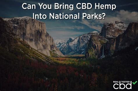 CBD In Yosemite — Can You Bring CBD Hemp Into National Parks?