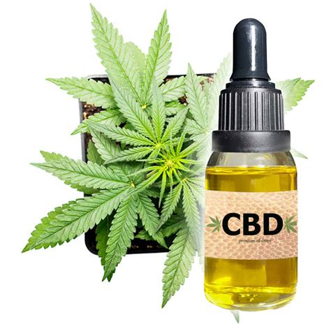 CBD Oil: Why It