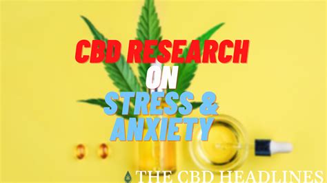 CBD Research Shows Significant Positive Effects on Anxiety …