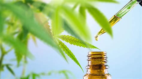 CBD and Hemp Payment Processing Solutions - My Payment Savvy