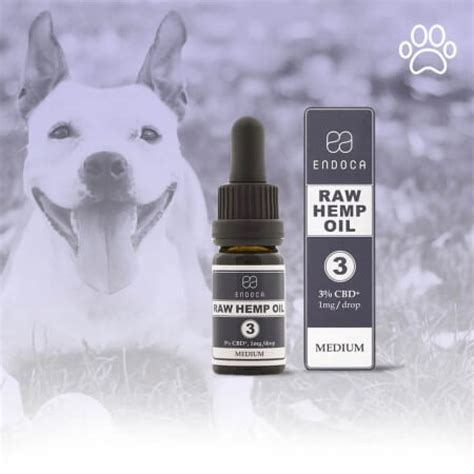 CBD oil for dogs Australia [Can it help your dog?] - Hinterland co.