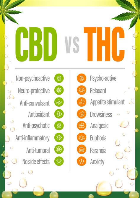 CBD vs Delta-8 THC: Understanding the Major Differences