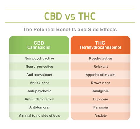 CBD vs THC Differences benefits and effects