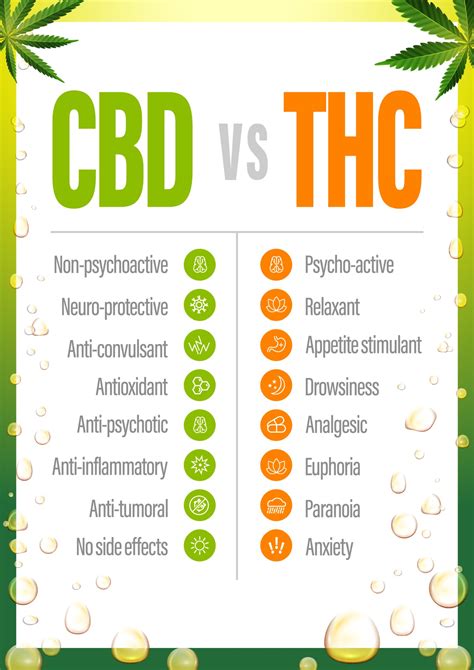 CBD vs. THC: Differences, benefits, and effects