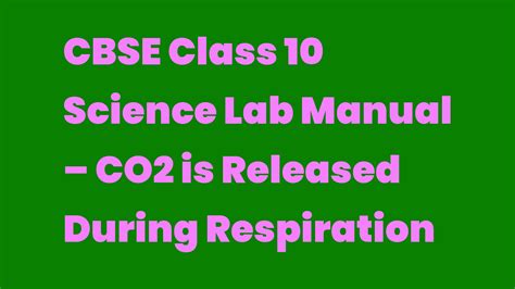 CBSE Class 10 Science Lab Manual - CO2 is Released During Respiration …