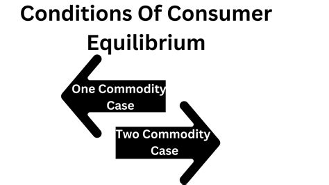 CBSE Class 11: Economics- Consumer