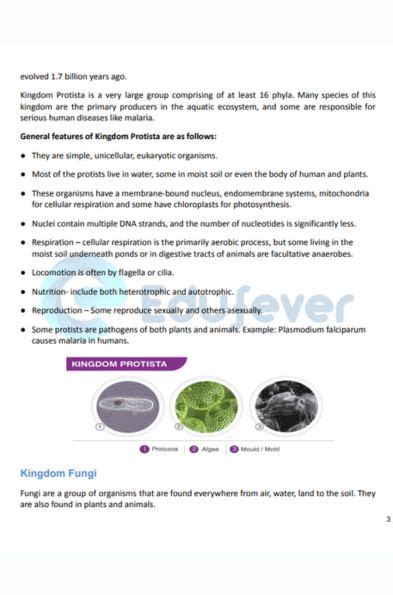 CBSE Class 11 Biology Biological Classification System Full ...