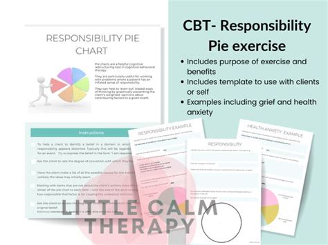 CBT Responsibility Pie Chart