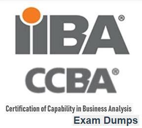 CCBA Testantworten