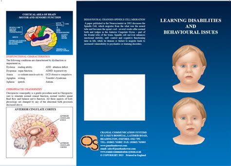 CCS Brochure Learning Disabilities and Behavioral Issues, pkg of 100