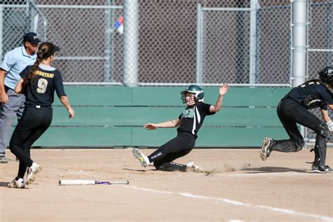CCS softball playoffs: Live Oak stays in ‘a groove,’ captures Division IV title
