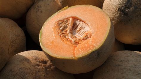 CDC: Don't eat pre-cut cantaloupe from unknown source amid deadly salmonella outbreak