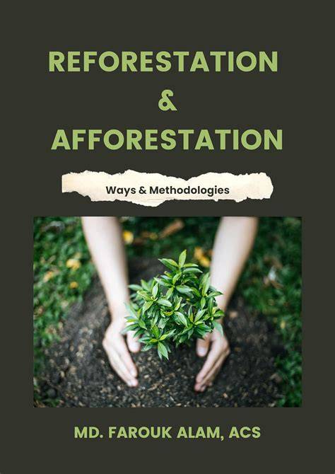 CDM: Afforestation / Reforestation Methodologies - UNFCCC - raincitystudios.com