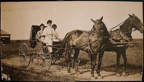 CDV Cabinet Card Photo Frederick, Maryland 1895 HORSE BUGGY …