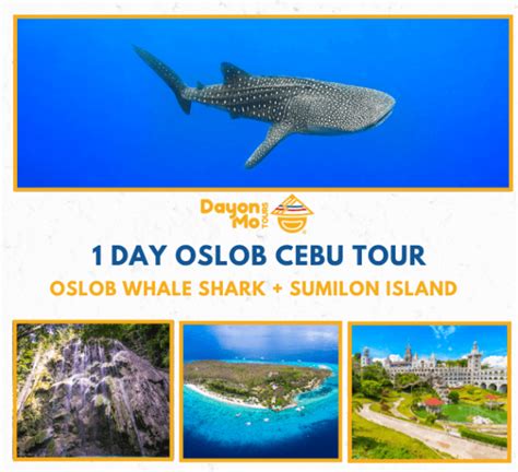 cebu oslob transfer - elchoricharrua.com