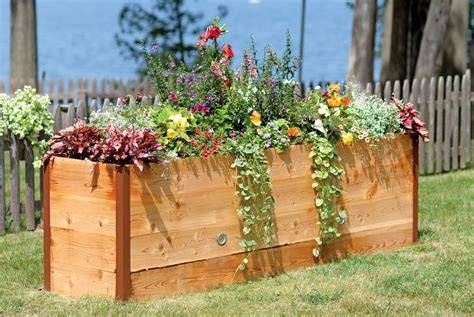Cedar Raised Garden Beds at Lowes.com - raincitystudios.com