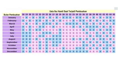 Cek Gender Bayi Berapa Bulan - wintechmobiles.com