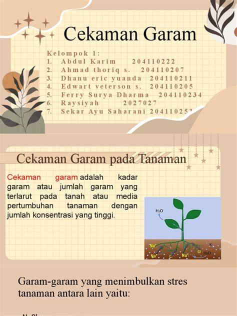 CEKAMAN GARAM dan DAMPAKNYAPADA … - raincitystudios.com