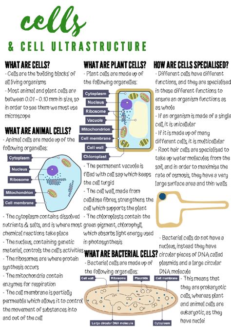 Cell Biology - Optical Tweezers: Principles and … - wintechmobiles.com