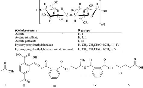 CELLULOSE ESTERS Coatings Chemicals