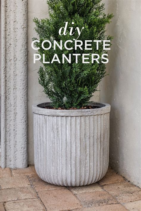 Cement Pots - Concrete Pots & Planter Boxes | Koch & Co - muktibox.com