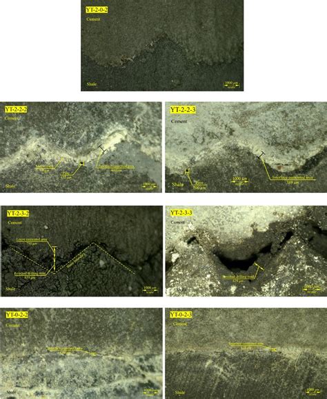 Cementation and Interface Analysis by Different Microscopically ... - wintechmobiles.com