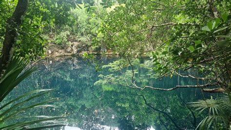 Cenotes Role in Environmental Conservation - The … - wintechmobiles.com