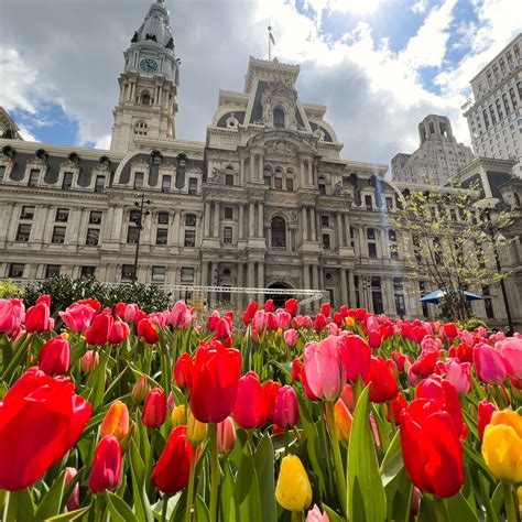 Center City District | Center City District - wintechmobiles.com