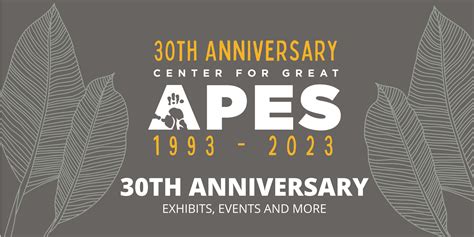 Center for Great Apes Commemorates 30th … - raincitystudios.com