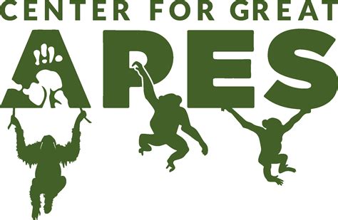 Center for Great Apes - raincitystudios.com