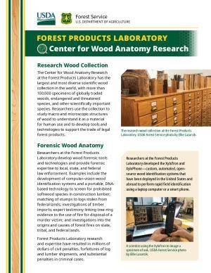 Center for Wood Anatomy Research - US Forest Service Research … - raincitystudios.com