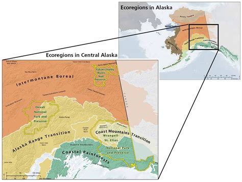 Central Alaska Ecosystems - U.S. National Park Service - raincitystudios.com