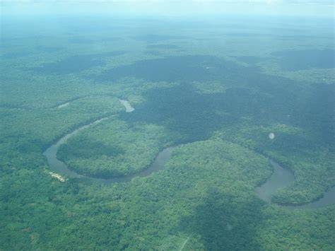 Central Congolian Lowland Forests - One Earth - raincitystudios.com