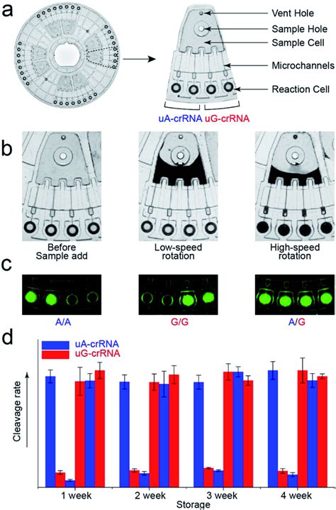 Centrifugal micro-fluidic biochip - wintechmobiles.com