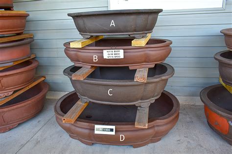 Ceramic Bonsai Pots | Yixing, Tokoname & Handmade … - muktibox.com