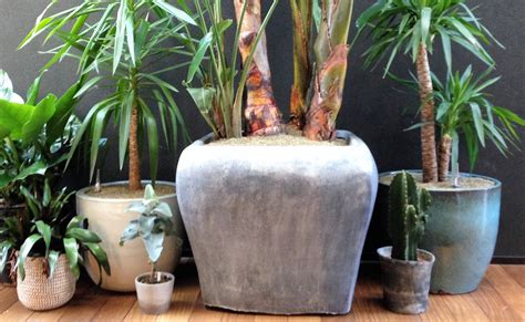 Ceramic Plant Holders - Etsy - muktibox.com