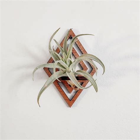 Ceramic Wall Air Plant Holder - Etsy - muktibox.com