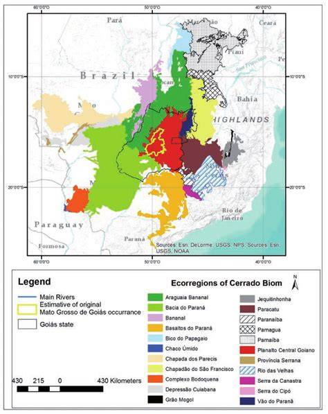 Cerrado ecoregions: A spatial framework to assess and prioritize ... - raincitystudios.com
