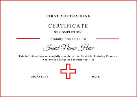 CERT First Aider Course
