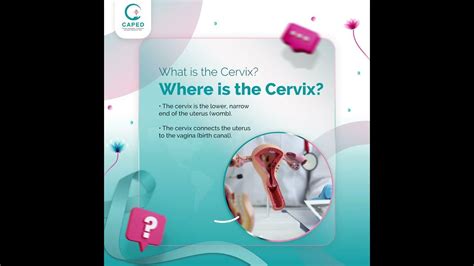 CERVIX TORTURE grind sensual & pakaian tipis contoh nyata tonton full terharu belum ditarik twit panas Jepang Film Bokep Hindi image 1
