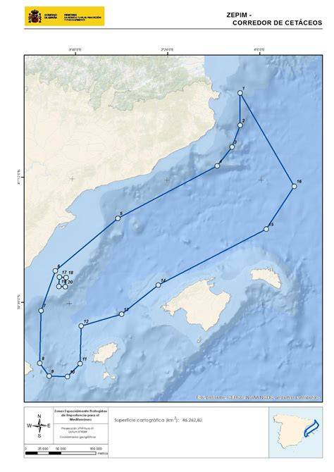 Cetacean migration corridor in the Mediterranean Sea - raincitystudios.com